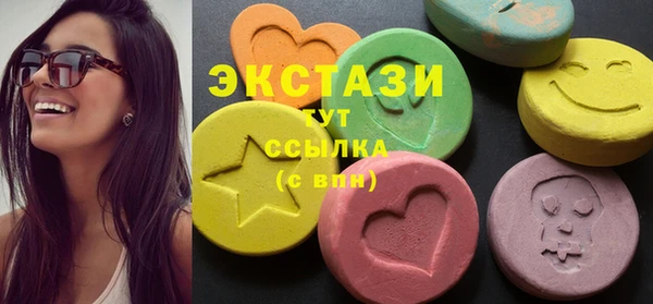 гашик Алексин