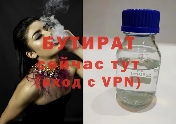 гашик Алексин