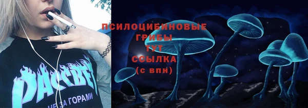 гашик Алексин