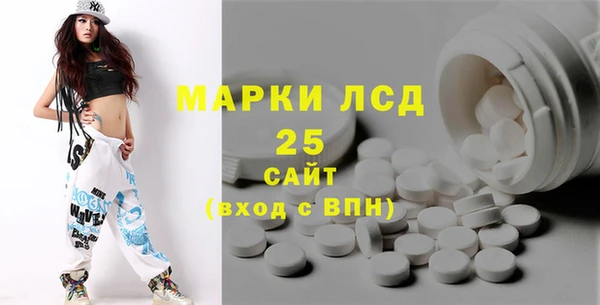 прущий лед Алзамай
