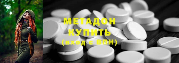 гашик Алексин