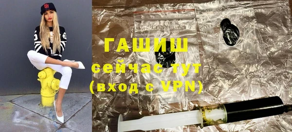 гашик Алексин
