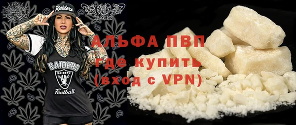 прущий лед Алзамай