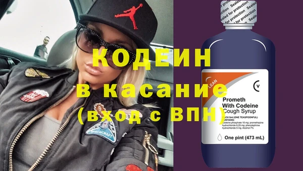 гашик Алексин