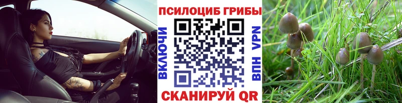 Галлюциногенные грибы мицелий Новая Ладога